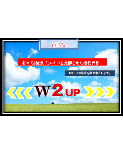 W2UPです
杉を粉砕しチップにしたものを160気圧し殺菌蒸煮して取り出した資材です。

杉というものは長年生育を積み重ねたものです。その中には200種類以上の有機酸を含んでいることはわかっていますが、さらにまだ未知の有機酸(生理・生物活性物質があると言われています）を160気圧で今まで取り出せなかった細胞の中のエキスを取り出した資材です。